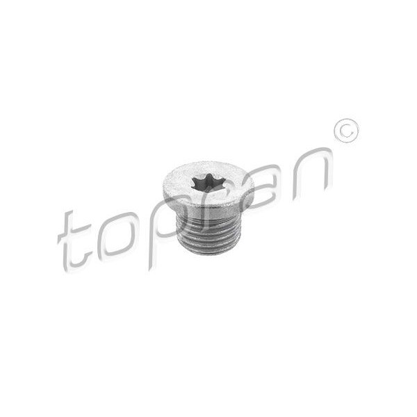 Снимка на Болтова пробка картер TOPRAN 118 431 за Audi A3 Sportback (8PA) 2.0 TFSI - 200 коня бензин