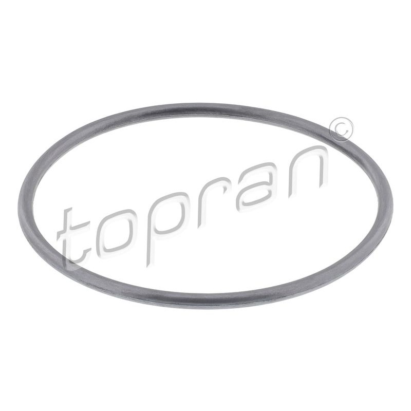 Снимка на Брава на врата TOPRAN 110 551 за VW Jetta 4 (1J2) 1.6 16V - 105 коня бензин