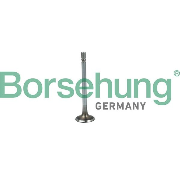 Снимка на Всмукателен клапан Borsehung B19020 за VW Golf 7 (5G1) 1.6 TDI - 105 коня дизел