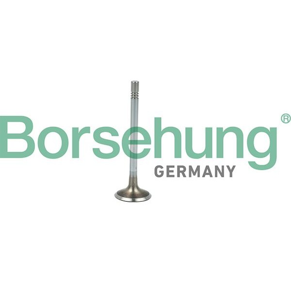 Снимка на Всмукателен клапан Borsehung B19021 за Audi TT (8J3) 2.0 TDI quattro - 170 коня дизел