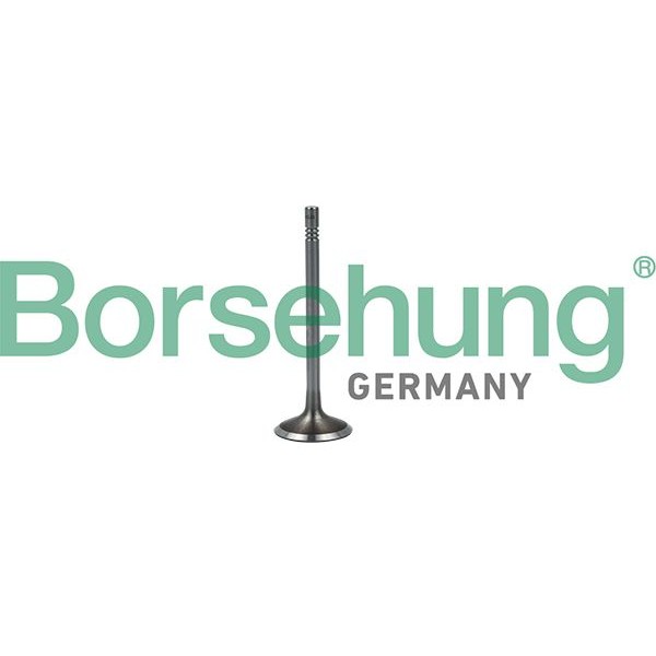 Снимка на Всмукателен клапан Borsehung B19023 за VW Crafter Platform (SZ) 2.0 TDI RWD - 177 коня дизел