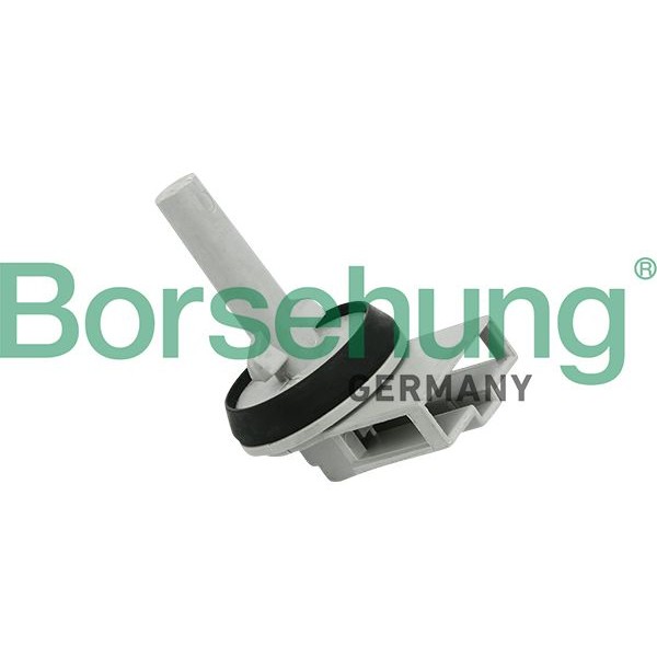 Снимка на Датчик вътрешна температура Borsehung B11447 за Audi A6 Avant (4F5, C6) 3.0 - 218 коня бензин