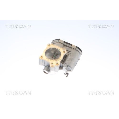 Снимка на Дроселова клапа TRISCAN 8820 29012 за Seat Arosa (6H) 1.4 - 60 коня бензин