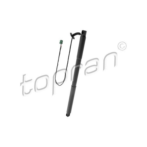 Снимка на Заключващ цилиндър TOPRAN 109 726 за Seat Ibiza 2 (6K2) 1.9 TDI - 90 коня дизел