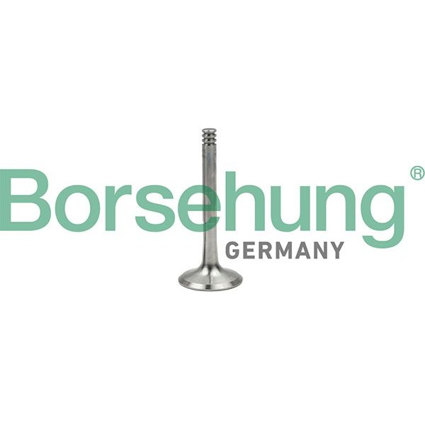 Снимка на Изпускателен клапан Borsehung B18997 за VW EOS (1F7,1F8) 2.0 TDI - 140 коня дизел