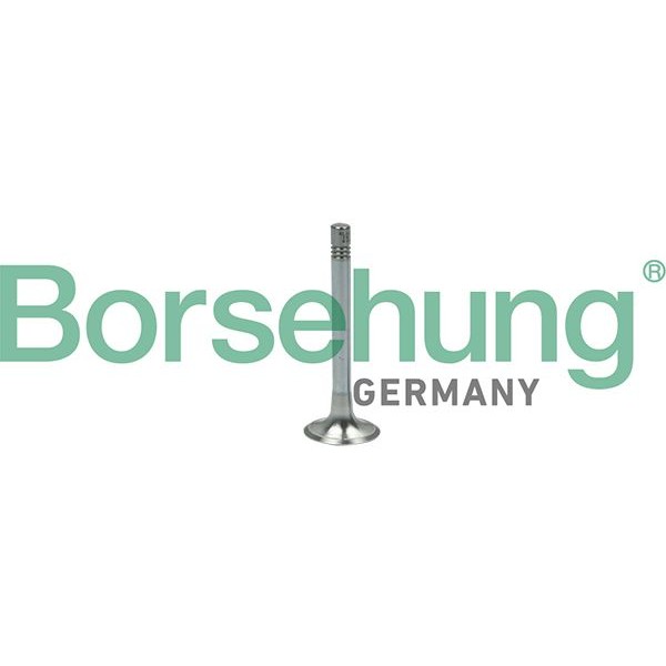 Снимка на Изпускателен клапан Borsehung B18999 за VW Crafter Platform (SZ) 2.0 TDI RWD - 177 коня дизел