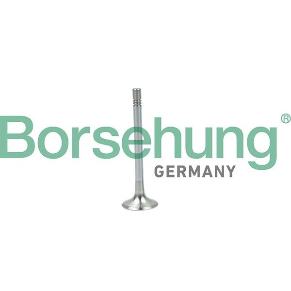 Снимка на Изпускателен клапан Borsehung B19004 за Audi A6 Sedan (4F2, C6) 2.0 TDI - 163 коня дизел