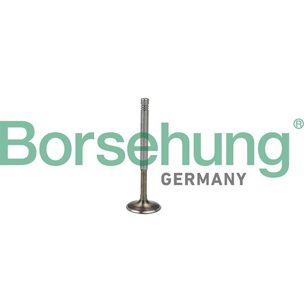 Снимка на Изпускателен клапан Borsehung B19009 за Audi A3 (8L1) 1.8 T quattro - 150 коня бензин