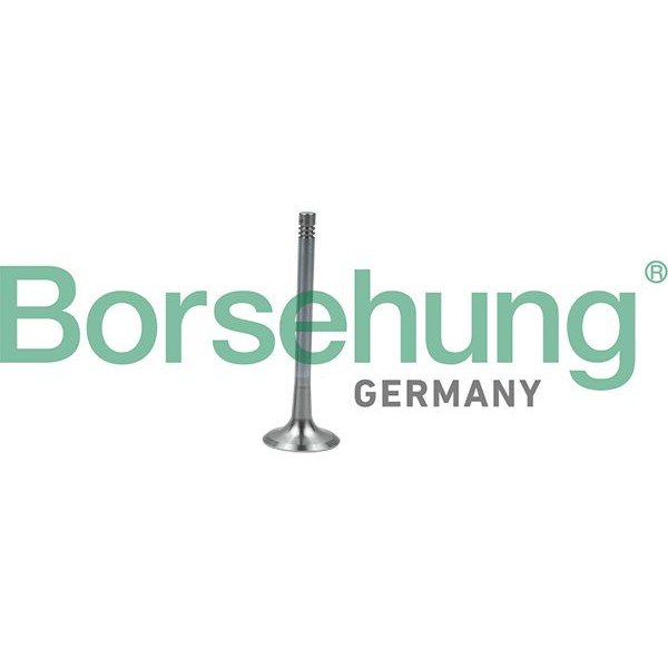 Снимка на Изпускателен клапан Borsehung B19011 за Audi Q7 (4L) 3.0 TFSI quattro - 272 коня бензин