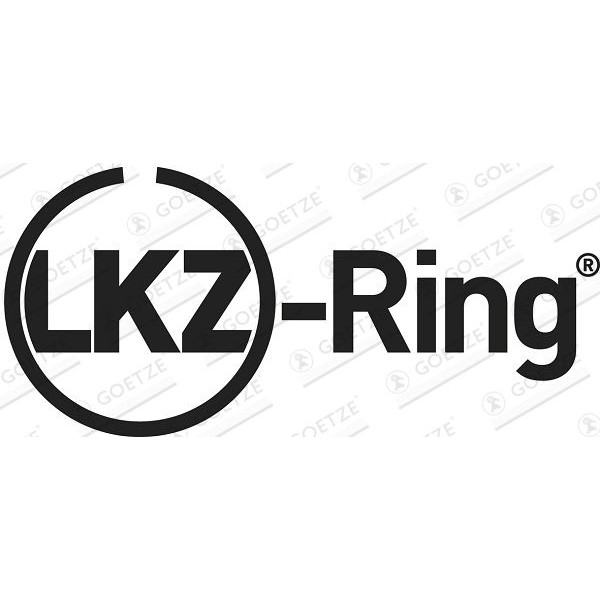 Снимка на Комплект сегменти GOETZE LKZ-Ring® 08-114400-45 за BMW 5 Sedan E60 525 d xDrive - 197 коня дизел
