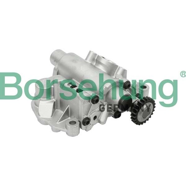 Снимка на Маслена помпа Borsehung B18737 за Audi A3 (8P1) 1.8 TFSI - 160 коня бензин