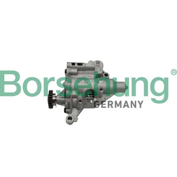 Снимка на Маслена помпа Borsehung B18758 за VW Polo 5 (6R) 1.8 GTI - 192 коня бензин