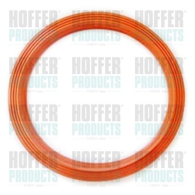 Снимка на О пръстен за капачка на горивен нивомер HOFFER GSK09 за VW Golf 4 (1J1) 2.3 V5 - 170 коня бензин