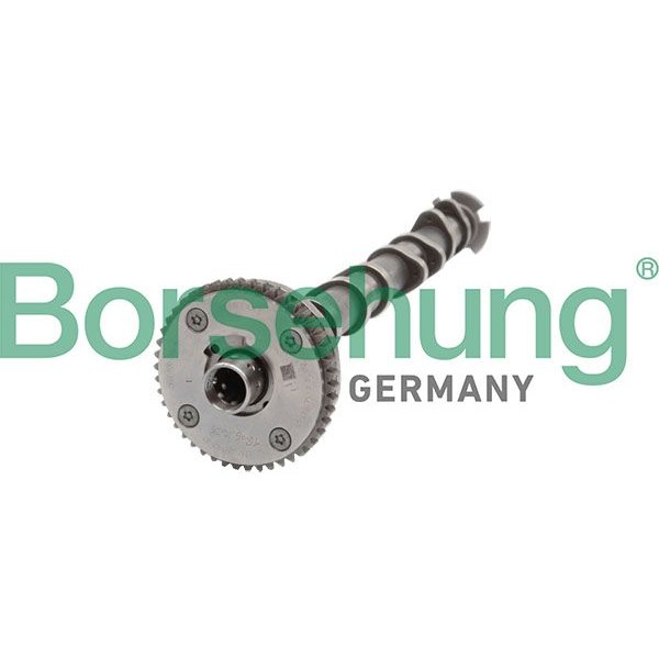 Снимка на Разпределителен вал Borsehung B11319 за Audi A4 Sedan (8K2, B8) 2.0 TFSI - 224 коня бензин