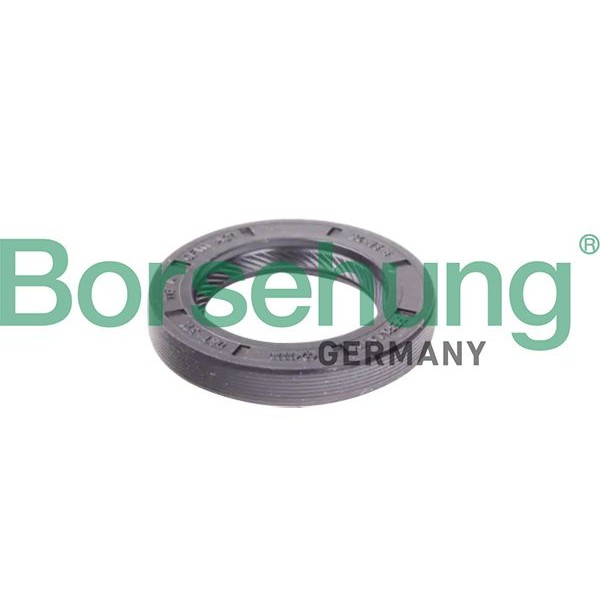 Снимка на Семеринг, ръчна трансмисия Borsehung B12191 за VW Beetle Convertible (5C7) 1.4 TSI - 160 коня бензин