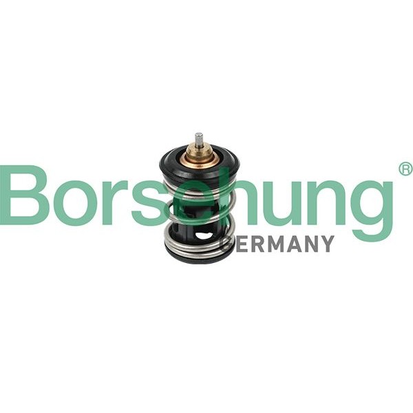 Снимка на Термостат Borsehung черен B18261 за VW Golf 7 (5G1) 1.6 - 110 коня бензин